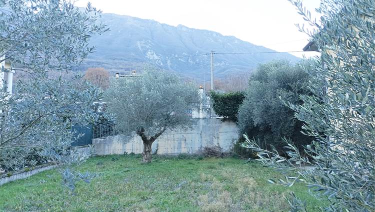 GIARDINO