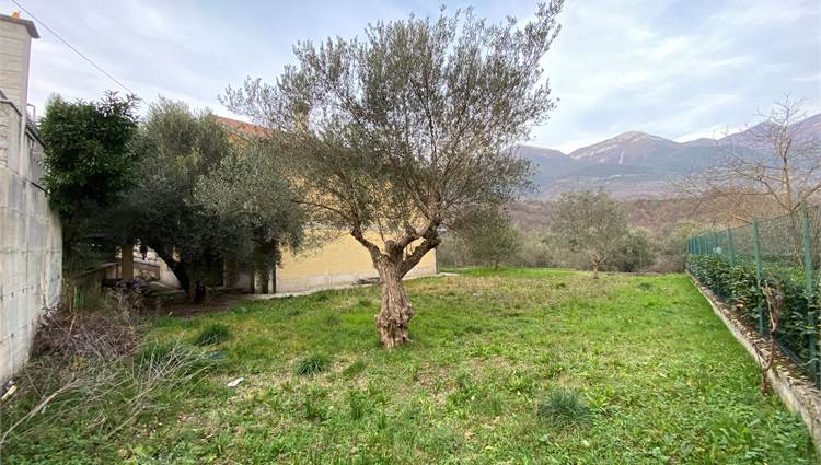 GIARDINO