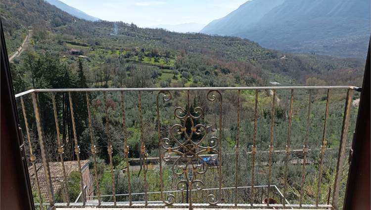 PARTICOLARE