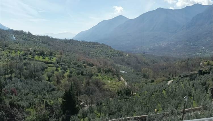 PANORAMA