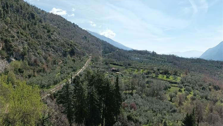 VEDUTA